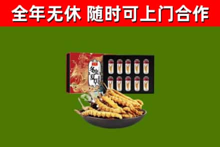 武胜回收冬虫夏草价格
